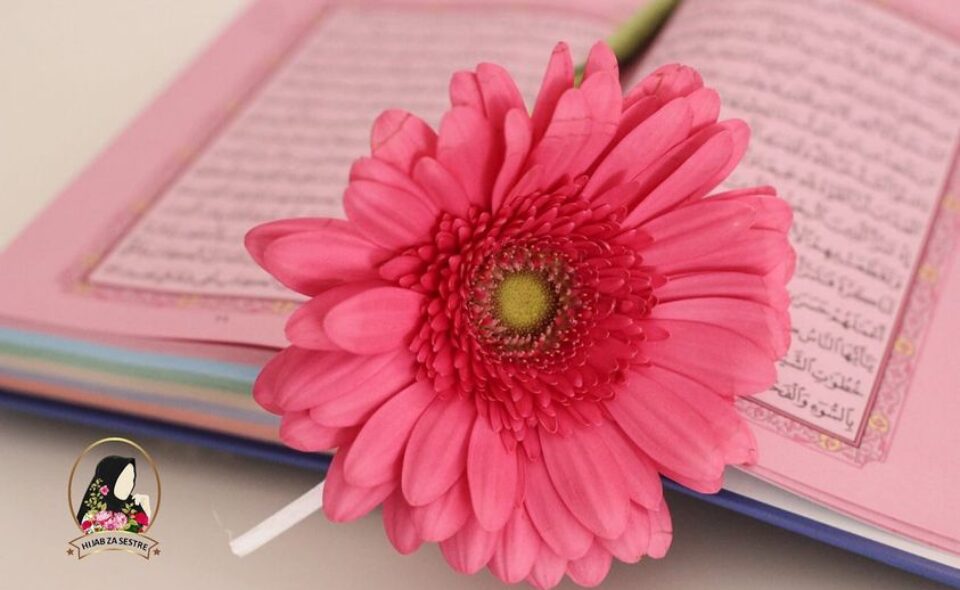 A sta ce reci Allah na nasu nepokornost