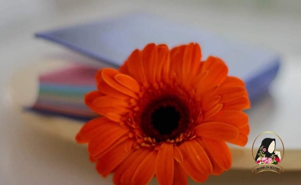 Iskusenje me osvijestilo i vratilo Gospodaru Hid