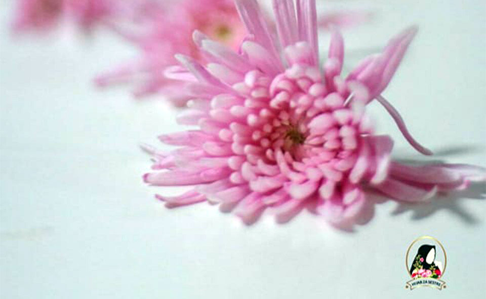 Konacno sam ucinila taj korak hidzab za sestre