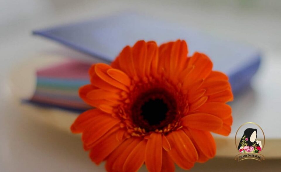 Odlucnost jedne djevojcice hidzab za sestre