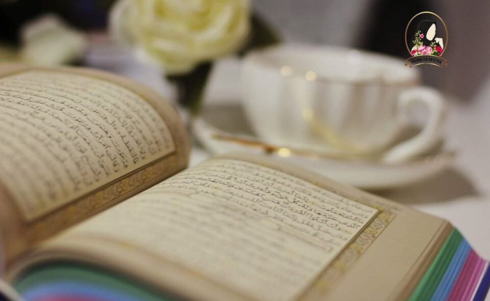 Snaga sabura i njegovi plodovi hidzab za sestre